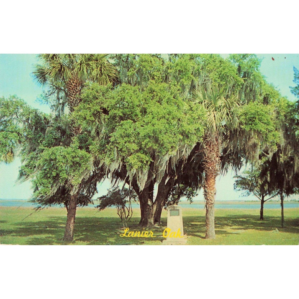 Vintage Lanier Oak Postcard Brunswick Georgia Marshes of Glynn Sidney Lanier VG - Picture 1 of 2